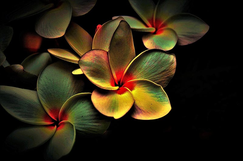 Mindful Stillness